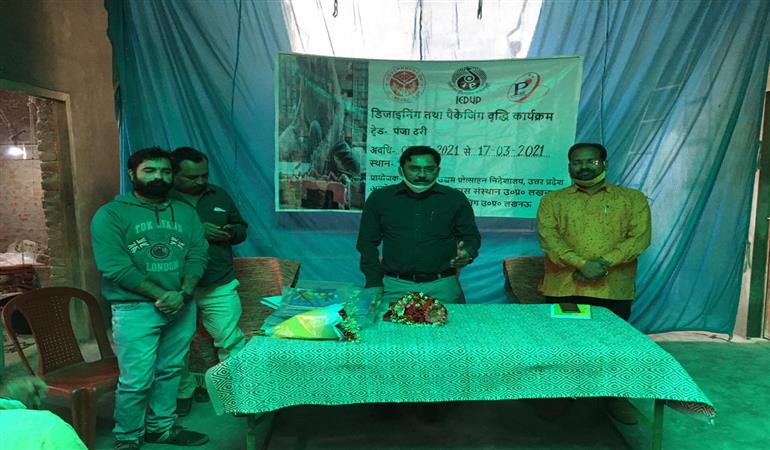 Designing and Packaging, Trade- Panja Durri WORK (District-SITAPUR)